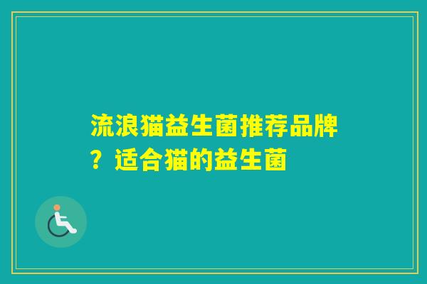 流浪猫益生菌推荐品牌？适合猫的益生菌