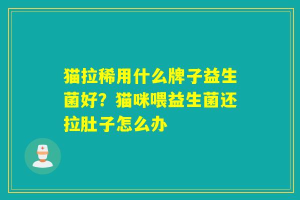 猫拉稀用什么牌子益生菌好？猫咪喂益生菌还拉肚子怎么办