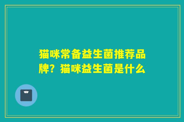 猫咪常备益生菌推荐品牌？猫咪益生菌是什么