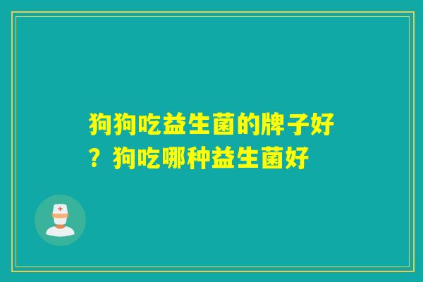 狗狗吃益生菌的牌子好?狗吃哪种益生菌好 狗狗吃益生菌的牌子好?狗吃哪种益生菌好