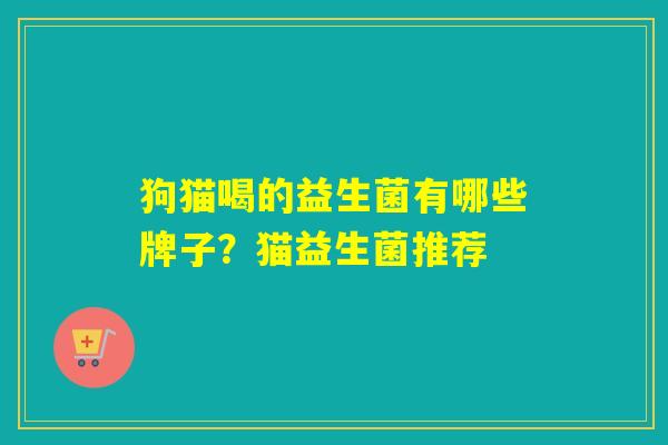 狗猫喝的益生菌有哪些牌子？猫益生菌推荐