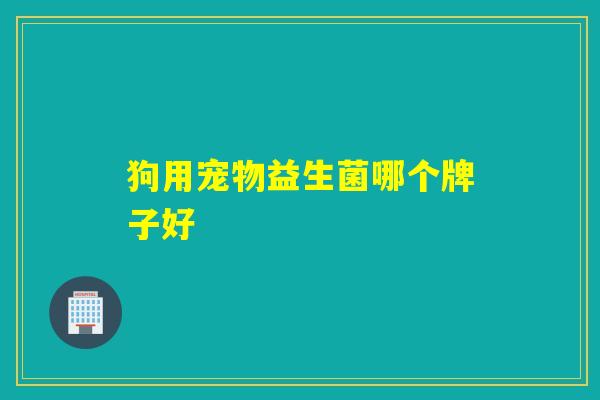 狗用宠物益生菌哪个牌子好