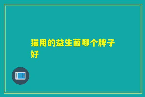 猫用的益生菌哪个牌子好