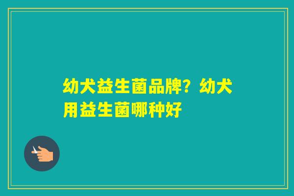 幼犬益生菌品牌？幼犬用益生菌哪种好