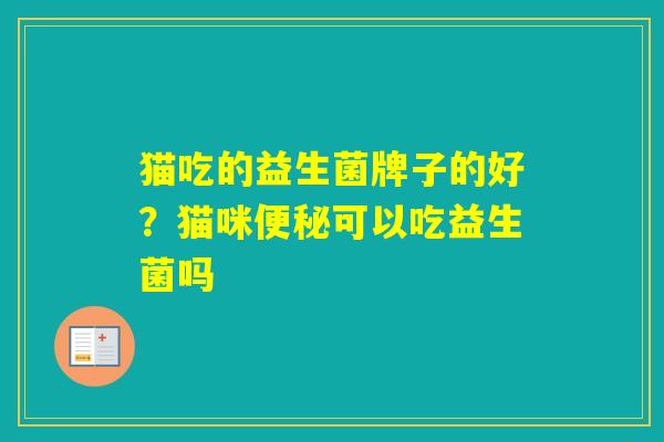 猫吃的益生菌牌子的好?猫咪可以吃益生菌吗 猫吃的益生菌牌子的好?猫咪可以吃益生菌吗