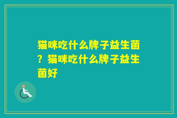 猫咪吃什么牌子益生菌?猫咪吃什么牌子益生菌好 猫咪吃什么牌子益生菌?猫咪吃什么牌子益生菌好
