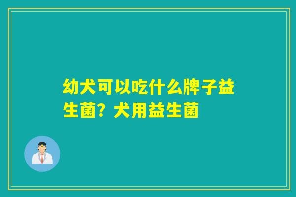 幼犬可以吃什么牌子益生菌?犬用益生菌 幼犬可以吃什么牌子益生菌?犬用益生菌