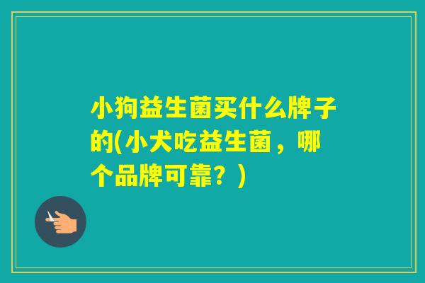 小狗益生菌买什么牌子的(小犬吃益生菌，哪个品牌可靠？)