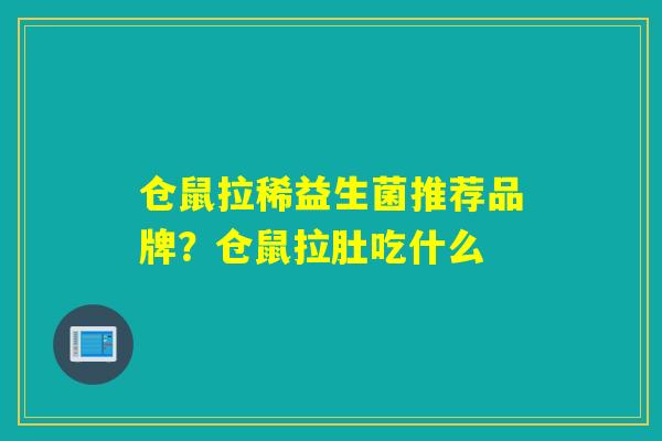 仓鼠拉稀益生菌推荐品牌？仓鼠拉肚吃什么