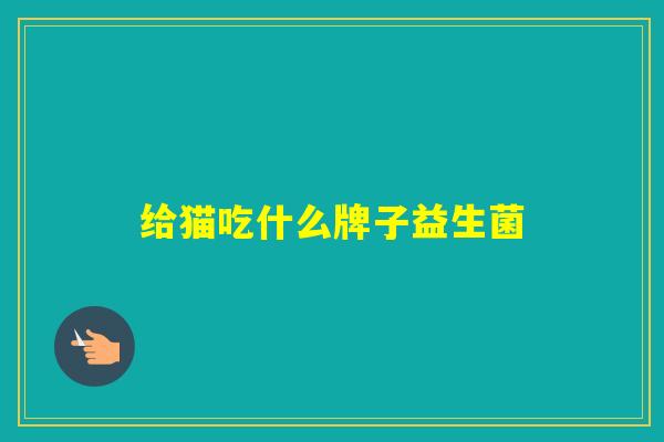 给猫吃什么牌子益生菌