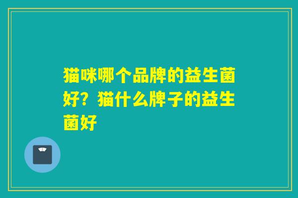 猫咪哪个品牌的益生菌好？猫什么牌子的益生菌好