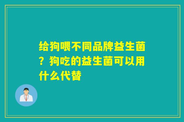 给狗喂不同品牌益生菌？狗吃的益生菌可以用什么代替