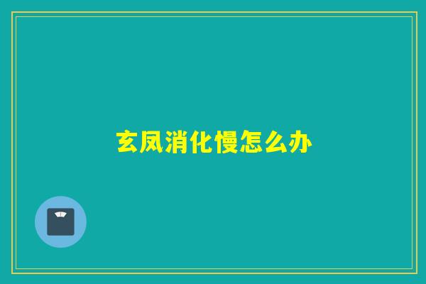 玄凤消化慢怎么办