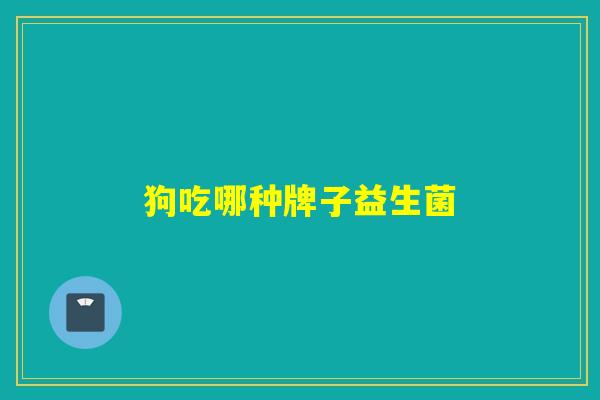狗吃哪种牌子益生菌