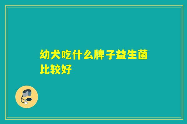 幼犬吃什么牌子益生菌比较好