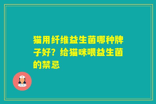 猫用纤维益生菌哪种牌子好？给猫咪喂益生菌的禁忌