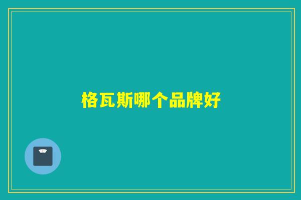 格瓦斯哪个品牌好