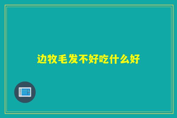 边牧毛发不好吃什么好
