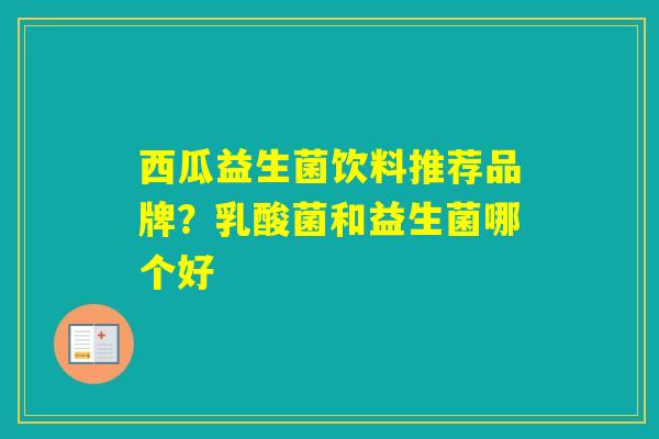 西瓜益生菌饮料推荐品牌？乳酸菌和益生菌哪个好