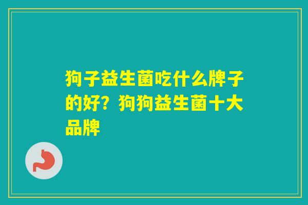 狗子益生菌吃什么牌子的好?狗狗益生菌十大品牌 狗子益生菌吃什么牌子的好?狗狗益生菌十大品牌