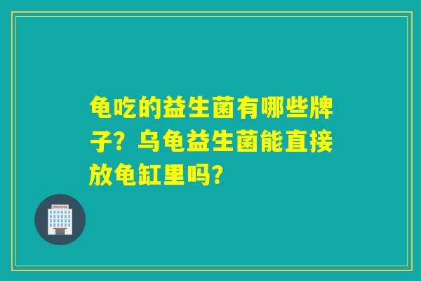 龟吃的益生菌有哪些牌子?乌龟益生菌能直接放龟缸里吗? 龟吃的益生菌有哪些牌子?乌龟益生菌能直接放龟缸里吗?