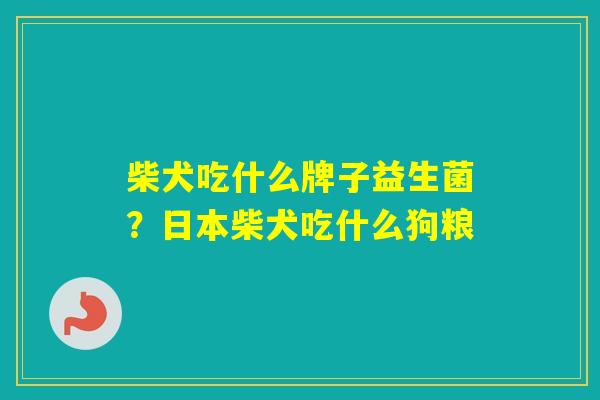 柴犬吃什么牌子益生菌?日本柴犬吃什么狗粮 柴犬吃什么牌子益生菌?日本柴犬吃什么狗粮