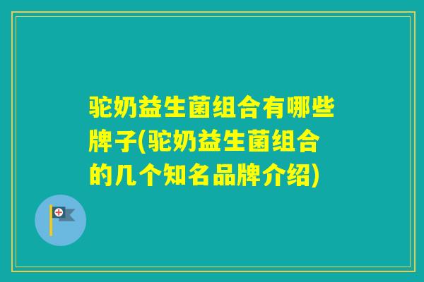 驼奶益生菌组合有哪些牌子(驼奶益生菌组合的几个知名品牌介绍)
