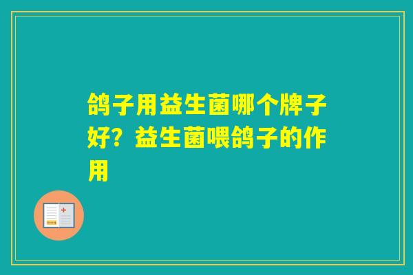 鸽子用益生菌哪个牌子好？益生菌喂鸽子的作用