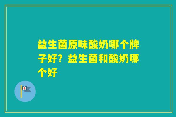 益生菌原味酸奶哪个牌子好？益生菌和酸奶哪个好