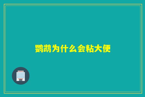 鹦鹉为什么会粘大便 鹦鹉为什么会粘大便