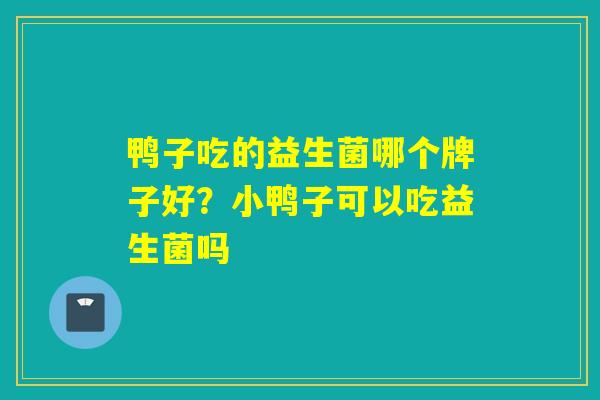 鸭子吃的益生菌哪个牌子好？小鸭子可以吃益生菌吗
