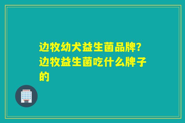 边牧幼犬益生菌品牌?边牧益生菌吃什么牌子的 边牧幼犬益生菌品牌?边牧益生菌吃什么牌子的