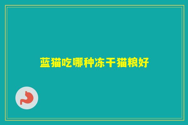 蓝猫吃哪种冻干猫粮好