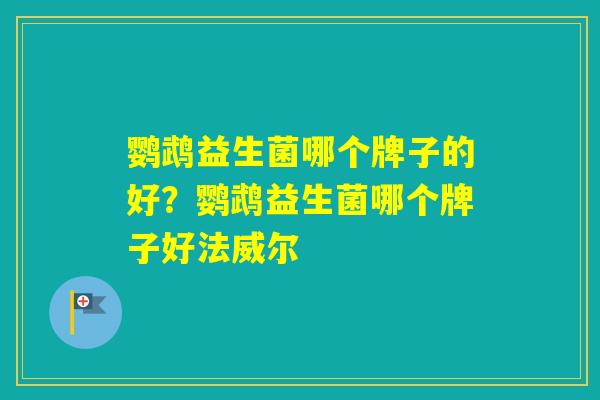 鹦鹉益生菌哪个牌子的好？鹦鹉益生菌哪个牌子好法威尔