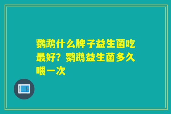鹦鹉什么牌子益生菌吃好？鹦鹉益生菌多久喂一次
