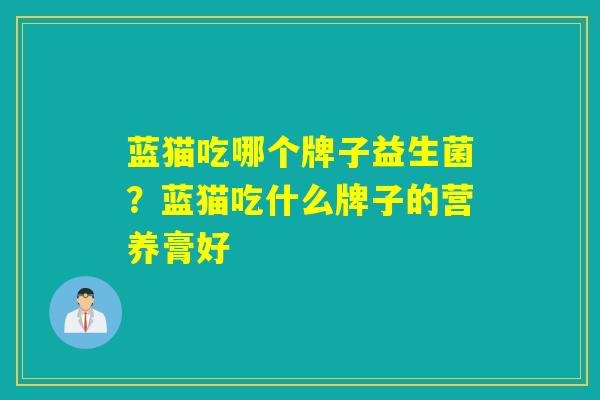 蓝猫吃哪个牌子益生菌？蓝猫吃什么牌子的营养膏好