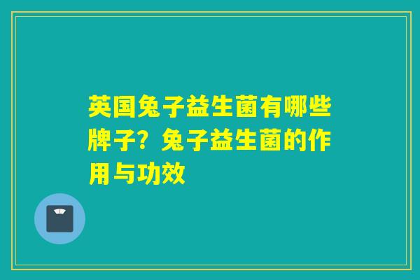 英国兔子益生菌有哪些牌子？兔子益生菌的作用与功效