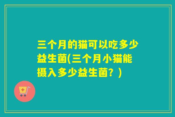 三个月的猫可以吃多少益生菌(三个月小猫能摄入多少益生菌？)