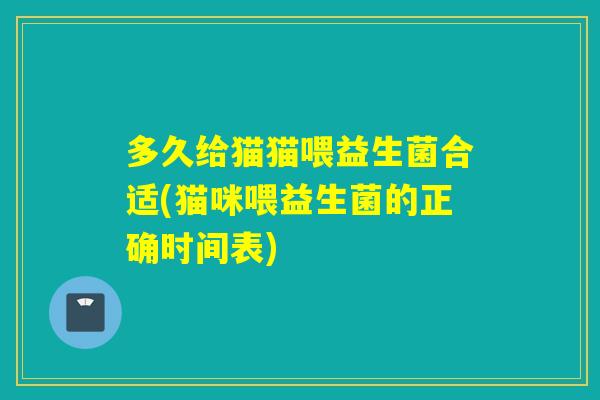 多久给猫猫喂益生菌合适(猫咪喂益生菌的正确时间表)