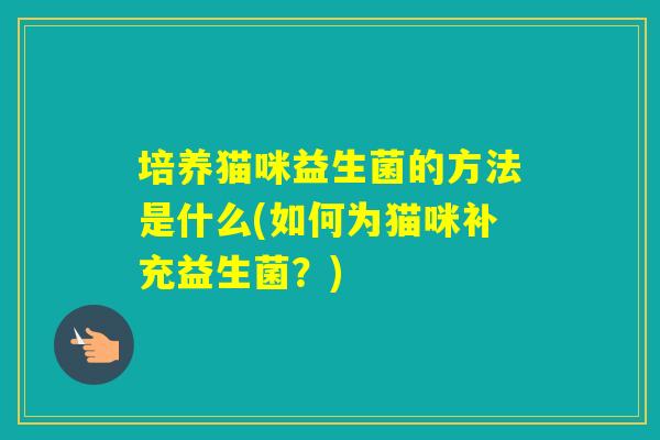 培养猫咪益生菌的方法是什么(如何为猫咪补充益生菌？)