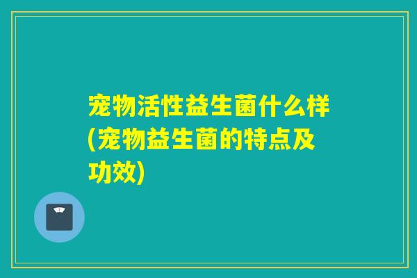 宠物活性益生菌什么样(宠物益生菌的特点及功效)