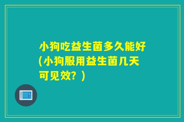 小狗吃益生菌多久能好(小狗服用益生菌几天可见效？)
