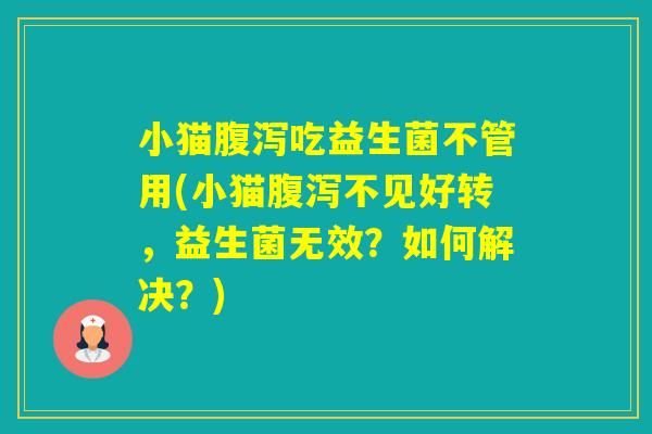 小猫吃益生菌不管用(小猫不见好转，益生菌无效？如何解决？)