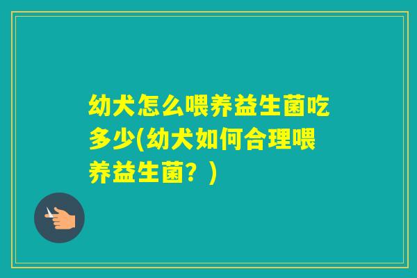 幼犬怎么喂养益生菌吃多少(幼犬如何合理喂养益生菌?) 幼犬怎么喂养益生菌吃多少(幼犬如何合理喂养益生菌?)