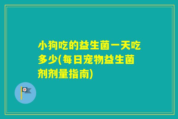 小狗吃的益生菌一天吃多少(每日宠物益生菌剂剂量指南) 小狗吃的益生菌一天吃多少(每日宠物益生菌剂剂量指南)