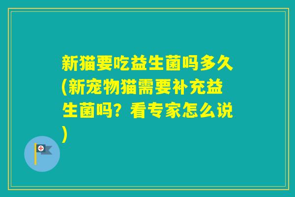 新猫要吃益生菌吗多久(新宠物猫需要补充益生菌吗？看专家怎么说)