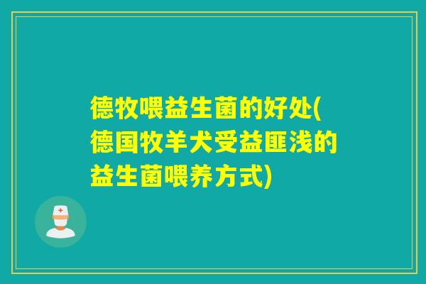 德牧喂益生菌的好处(德国牧羊犬受益匪浅的益生菌喂养方式) 德牧喂益生菌的好处(德国牧羊犬受益匪浅的益生菌喂养方式)