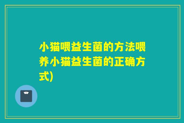 小猫喂益生菌的方法喂养小猫益生菌的正确方式)