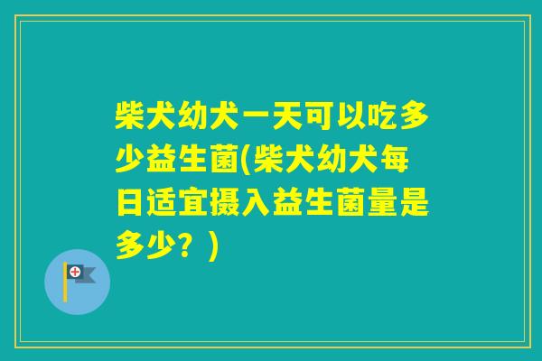 柴犬幼犬一天可以吃多少益生菌(柴犬幼犬每日适宜摄入益生菌量是多少?) 柴犬幼犬一天可以吃多少益生菌(柴犬幼犬每日适宜摄入益生菌量是多少?)