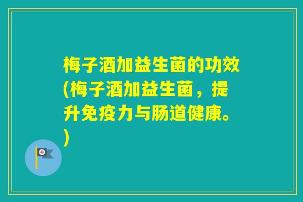 梅子酒加益生菌的功效(梅子酒加益生菌，提升力与肠道健康。)
